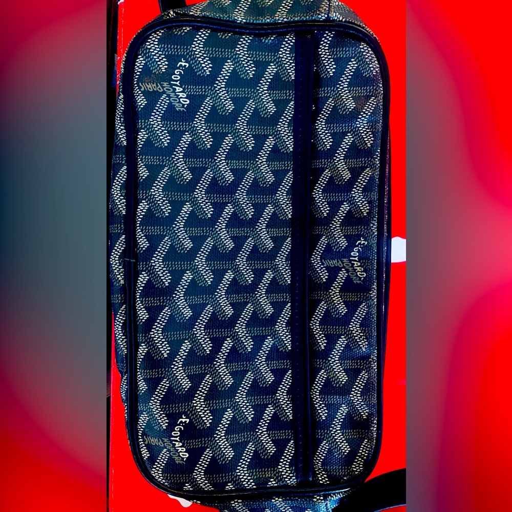 Goyard cap vert bag
